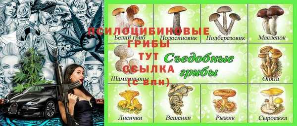 2c-b Алексин