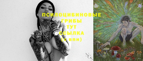 PSILOCYBIN Алексеевка