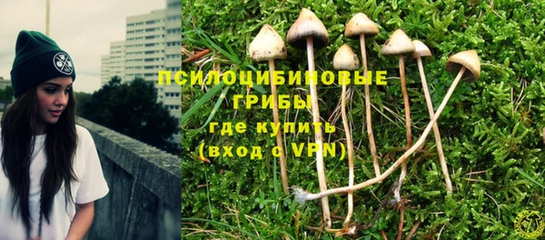 a pvp Алзамай