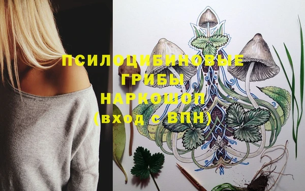 a pvp Алзамай
